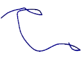 Chemokine C-X-C-Motif Receptor 4 (CXCR4)