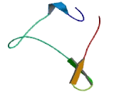 Chemokine C-X-C-Motif Receptor 6 (CXCR6)