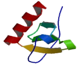 Chemokine C-X3-C-Motif Ligand 1 (CX3CL1)