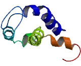 Chemokine Like Factor Superfamily 6 (CKLFSF6)