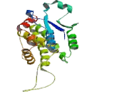 Chloride Intracellular Channel Protein 4 (CLIC4)