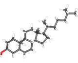 Cholesterol (CH)