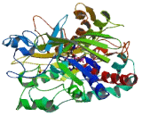 Cholesterol Oxidase (CHOD)