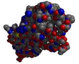 Chorionic Gonadotropin (CG)