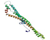 Chromogranin A (CHGA)