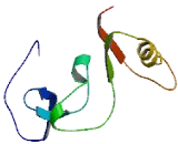 Chromosome 1 Open Reading Frame 100 (C1or<b>f100</b>)