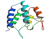 Chromosome 1 Open Reading Frame 196 (C1or<b>f196</b>)