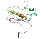 ZN<b>F436</b> Antisense Gene Protein 1 (ZN<b>F436</b>-AS1)