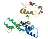 Coiled Coil Domain Containing Protein 185 (CCDC185)