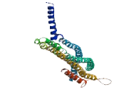 Chromosome 14 Open Reading Frame 102 (C14or<b>f102</b>)