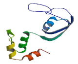 Chromosome 14 Open Reading Frame 132 (C14or<b>f132</b>)