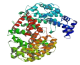 Coiled Coil Domain Containing Protein 175 (CCD<b>C175</b>)