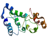 Chromosome 17 Open Reading Frame 100 (C17or<b>f100</b>)