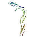 Coiled Coil Domain Containing Protein 178 (CCD<b>C178</b>)