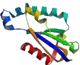 Chromosome 19 Open Reading Frame 81 (C19orf81)