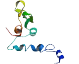 Chromosome 20 Open Reading Frame 141 (C20or<b>f141</b>)