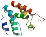 Chromosome 20 Open Reading Frame 202 (C20orf202)