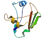 Chromosome 3 Open Reading Frame 74 (C3orf74)