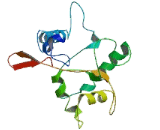 Chromosome 6 Open Reading Frame 141 (C6or<b>f141</b>)