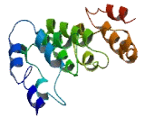 Chromosome 6 Open Reading Frame 227 (C6or<b>f227</b>)