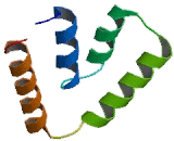 Clara Cell Protein 16 (CC16)