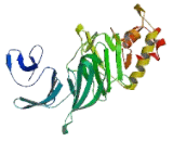 Cleavage And Polyadenylation Specific Factor 1 (CPSF1)