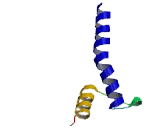 Circadian Locomoter Output Cycles Protein Kaput (CLOCK)