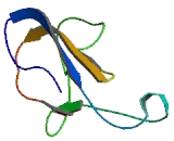 Cluster Of Differentiation 160 (C<b>D160</b>)