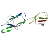 Cluster Of Differentiation 200 (C<b>D200</b>)