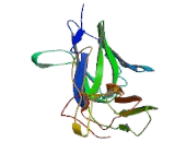 Cluster Of Differentiation 226 (C<b>D226</b>)