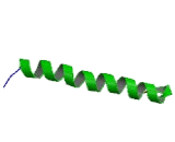 Cluster Of Differentiation 247 (C<b>D247</b>)