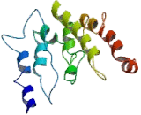 Cluster Of Differentiation 99 (CD99)