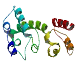 Coiled Coil Domain Containing Protein 140 (CCD<b>C140</b>)