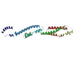 Coiled Coil Domain Containing Protein 144B (CCD<b>C144</b>B)