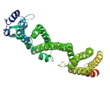 Coiled Coil Domain Containing Protein 150 (CCD<b>C150</b>)