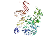 Coiled Coil Domain Containing Protein 168 (CCD<b>C168</b>)