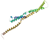 Coiled Coil Domain Containing Protein 169 (CCD<b>C169</b>)