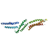 Coiled Coil Domain Containing Protein 42B (CCDC42B)