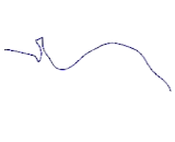 Collagen Type VI Alpha 1 (COL6a1)