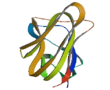 Complement Component 1, Q Subcomponent C (C1qC)