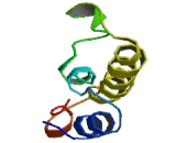 Complement Component 5 (C5)