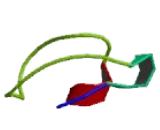 Complement Component 9 (C9)