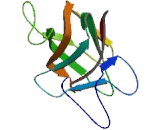 Contactin Associated Protein Like Protein 2 (CNTNAP2)