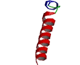 Corticotropin Releasing Factor (CRF)