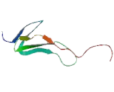 Corticotropin Releasing Hormone Receptor 2 (CRHR2)