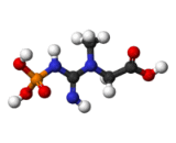 Phosphocreatine (PCr)