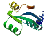 Crystallin Zeta Like Protein 1 (CRYzL1)