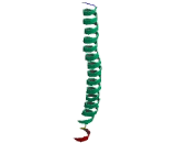 Cyclic AMP Response Element Binding Protein 5 (CREB5)