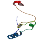 Cyclin Dependent Kinase Inhibitor 1A (CDKN1A)