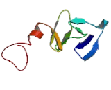 Cysteine Rich Protein 1, Intestinal (CRIP1)